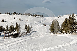 Morning at Ski piste in winter, Mountain Kopaonik, Serbia