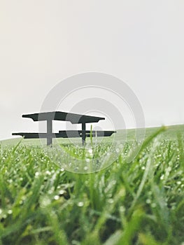 Early morning water drops on grass, park table and chairs. Low angle shot.