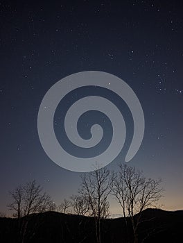 Early night sky with stars over the mountain and trees