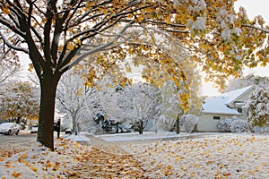 Early snow background, climate changing concept. 