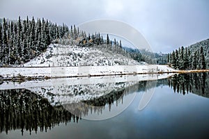 Early snow and fall colours, Sibbald Lake Provincial Recreation Area, Alberta, Canada