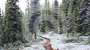 Early Snowfall Jasper National Park