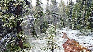 Early Snowfall Jasper National Park