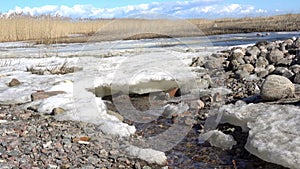 Early spring, actively melting snow, streams of water flow through ice and snow,Spring coming, global warming, season