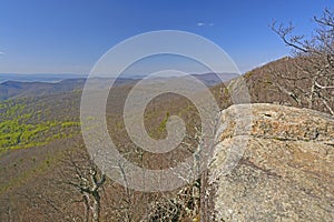 Early Spring in the Appalachians