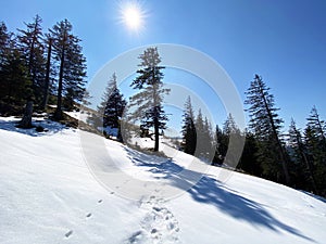 The early spring atmosphere and the last remnants of winter in the Alptal alpine valley, Einsiedeln - Canton of Schwyz