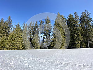 The early spring atmosphere and the last remnants of winter in the Alptal alpine valley, Einsiedeln - Canton of Schwyz