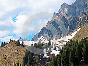 The early spring atmosphere with the last remnants of winter and snow in the Seeztal subalpine valley, Walenstadtberg