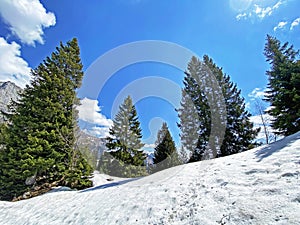 The early spring atmosphere with the last remnants of winter and snow in the Seeztal subalpine valley, Walenstadtberg