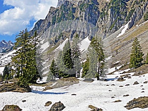 The early spring atmosphere with the last remnants of winter and snow in the Seeztal subalpine valley, Walenstadtberg