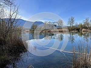 Kürze frühling Atmosphäre alt natur ändern 