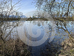 Kürze frühling Atmosphäre alt natur ändern 