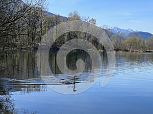 Kürze frühling Atmosphäre alt natur ändern 