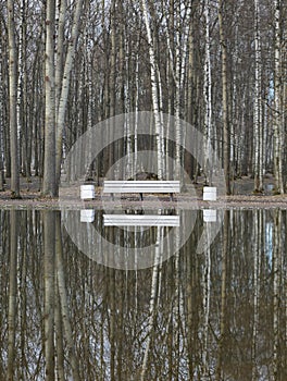 In early spring, the bare trees of the forest park and a white bench are reflected in the water