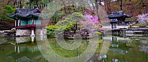 Próximamente primavera sobre el estanque de palacio jardín palacio sur 