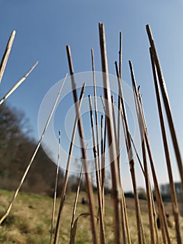 Early spring, clean spring air, beautiful landscape