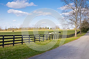 Early spring countrside landscape