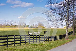 Early spring countrside landscape