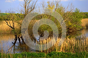 Early spring fields lake and trees