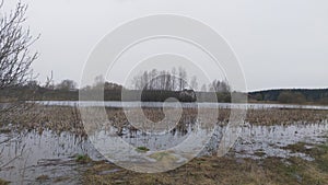 In early spring, during flood, the water in the river is high and muddy. The swift current floods the reeds and dry grass on the b photo