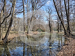 Early spring forest and a pond in Tiergarten , Berlin