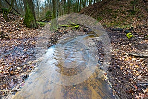 Early spring forest with small stream landscape