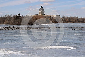 Early spring frozen lake Saskatchewan Legislature with geese