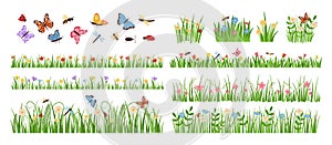 Early spring garden flowers. Forest and garden blooming plants with insects and green grass cartoon vector set