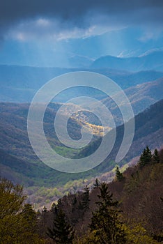 Early Spring Growth in the Oconaluftee Valley of North Carolina photo