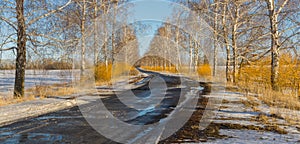 Early spring landscape with rural road