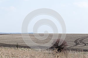 Early spring lifeless field