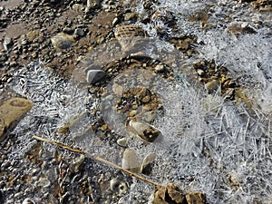 Early spring, March. A walk along the seashore.