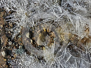 Early spring, March. A walk along the seashore.