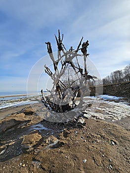 Early spring, March. A walk along the seashore.