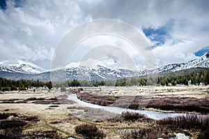 Early spring meadow scene along Tioga Pass in Yosemite National Park in California