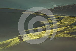 Early spring morning on Tuscany countryside, Italy.