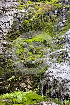 Early spring mossy forest rock waterfall