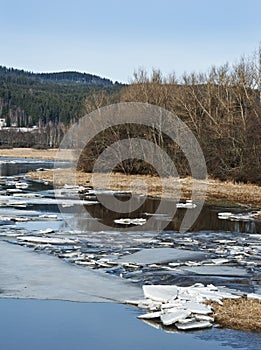 Early spring - mountain river with a flying ice