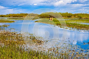 Próximamente primavera panorámico de un rio el valle humedales a naturaleza reservar en municipio en polonia 