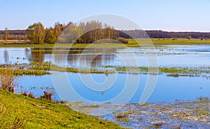 Próximamente primavera panorámico de un rio el valle humedales a naturaleza reservar en municipio más cercano en polonia 