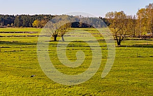 Próximamente primavera de un rio el valle humedales a naturaleza reservar para ver municipio más cercano en polonia 