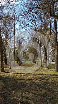 Early spring park in Minsk vertical