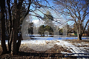 Early spring park