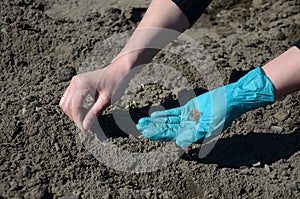 Early Spring in Poland - planting seeds