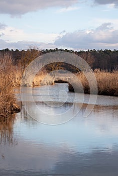 Early spring river in the light