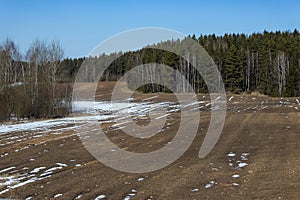 Early spring rural landscape. A field with soil thawing after winter and behind it a forest under a blue sky