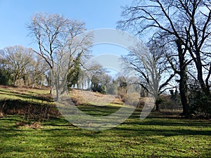 Early spring scene on Chorleywood Common, Hertfordshire, UK