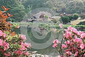 Early spring scenery of Moshan Rhododendron Garden in East Lake, Wuhan, Hubei, China