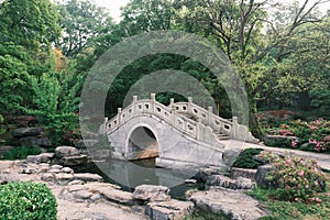 Early spring scenery of Moshan Rhododendron Garden in East Lake, Wuhan, Hubei, China