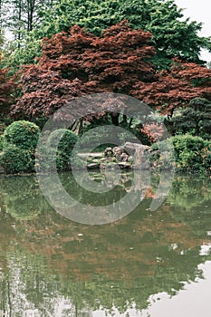 Early spring scenery of Moshan Rhododendron Garden in East Lake, Wuhan, Hubei, China